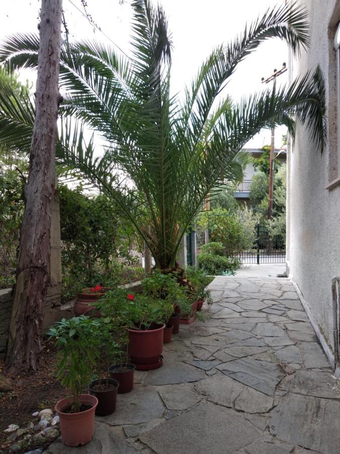Velikis Apartments Torone Exterior foto